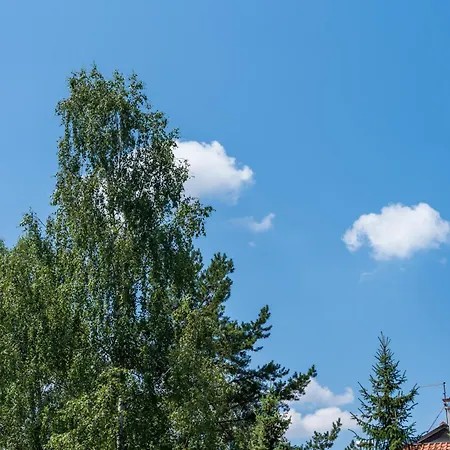 Zelenbor 4 Luxury&spa * Zlatibor